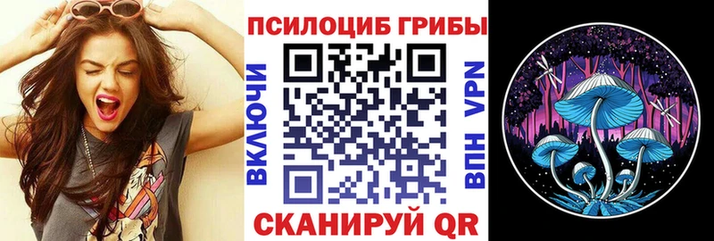 Псилоцибиновые грибы Psilocybe  Ак-Довурак 